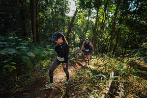 BIB: 
                            <button type="button" onclick="openModal(22545239)" class="btn btn-primary btn-sm float-right btn-popup" data-toggle="modal" data-target=".modal-high-quality">
                        <i class="fas fa-shopping-cart"></i> Add to Cart
                    </button>
                                            <button type="button" onclick="isThisMe(22545239, true)" class="btn btn-success btn-sm float-right btn-popup btn-isme hidden" data-toggle="tooltip" data-placement="bottom" title="นี่คือรูปของคุณใช่ไหม คลิกที่นี่เพื่อเอาเข้าอัลบั้ม">
                        <i class="fas fa-plus"></i> Add to album
                    </button>
                    <button type="button" onclick="isThisMe(22545239, false)" class="btn btn-warning btn-sm float-right btn-popup btn-isnotme hidden">
                        <i class="fas fa-ban"></i> Remove from album
                    </button>